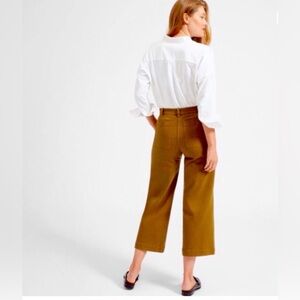 Everlane Wide-Leg High-Rise Pants in Brown